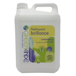 Ecological liquid detergent
